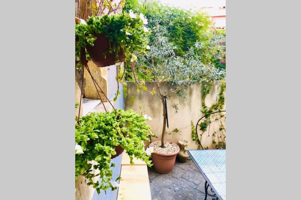 Oli'S Charming House Villa คาตาเนีย ภายนอก รูปภาพ